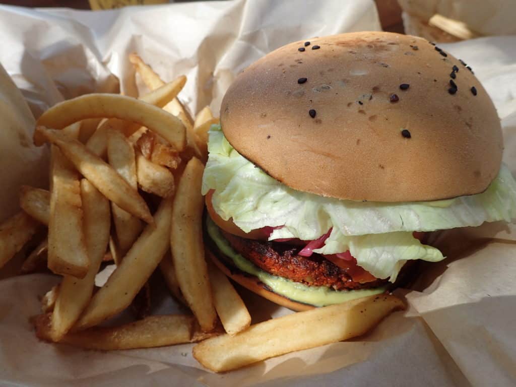 veg burger (beetroot and fries)
