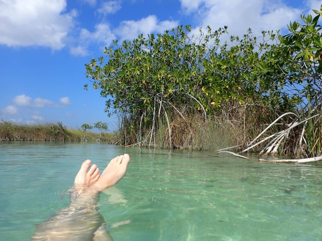 calm green water in mangrove canal, woman's legs and feet in shot