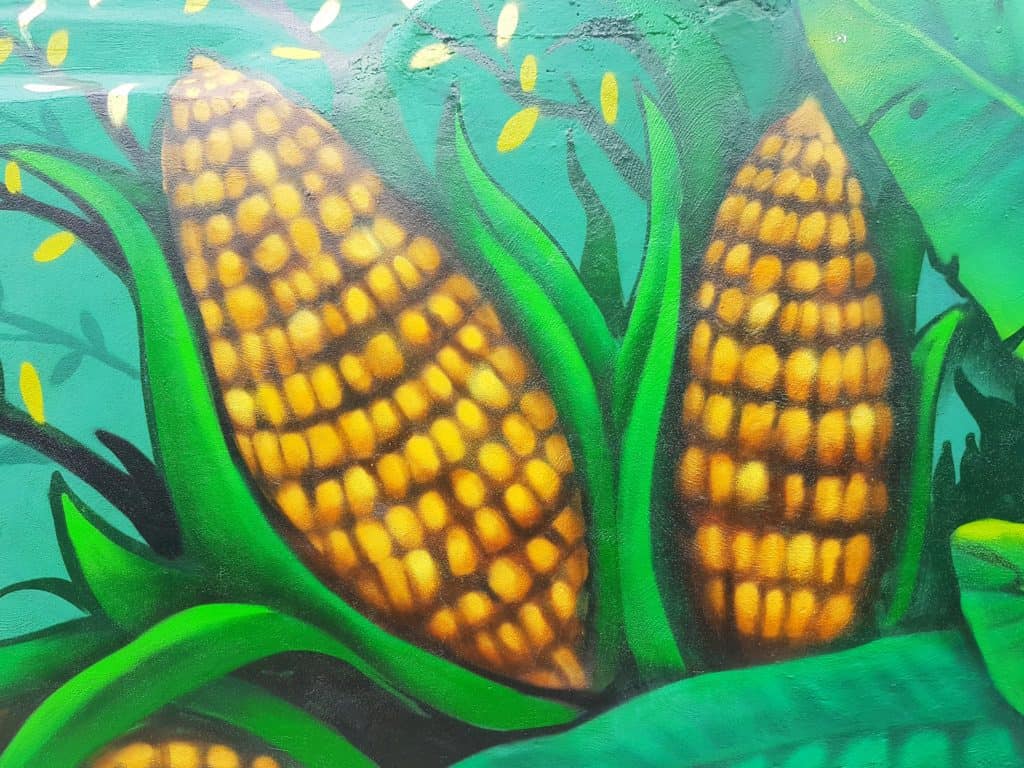 two ears of corn as a mural