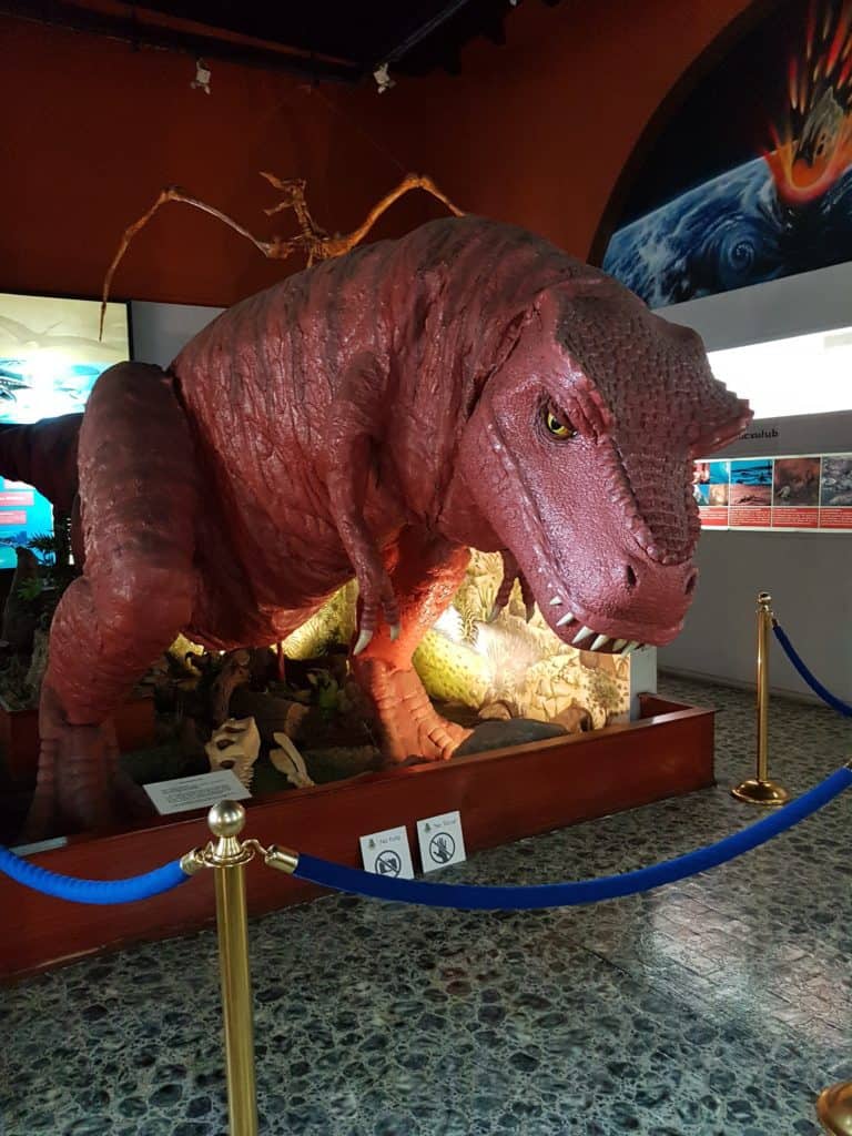 model of a dark red t-rex