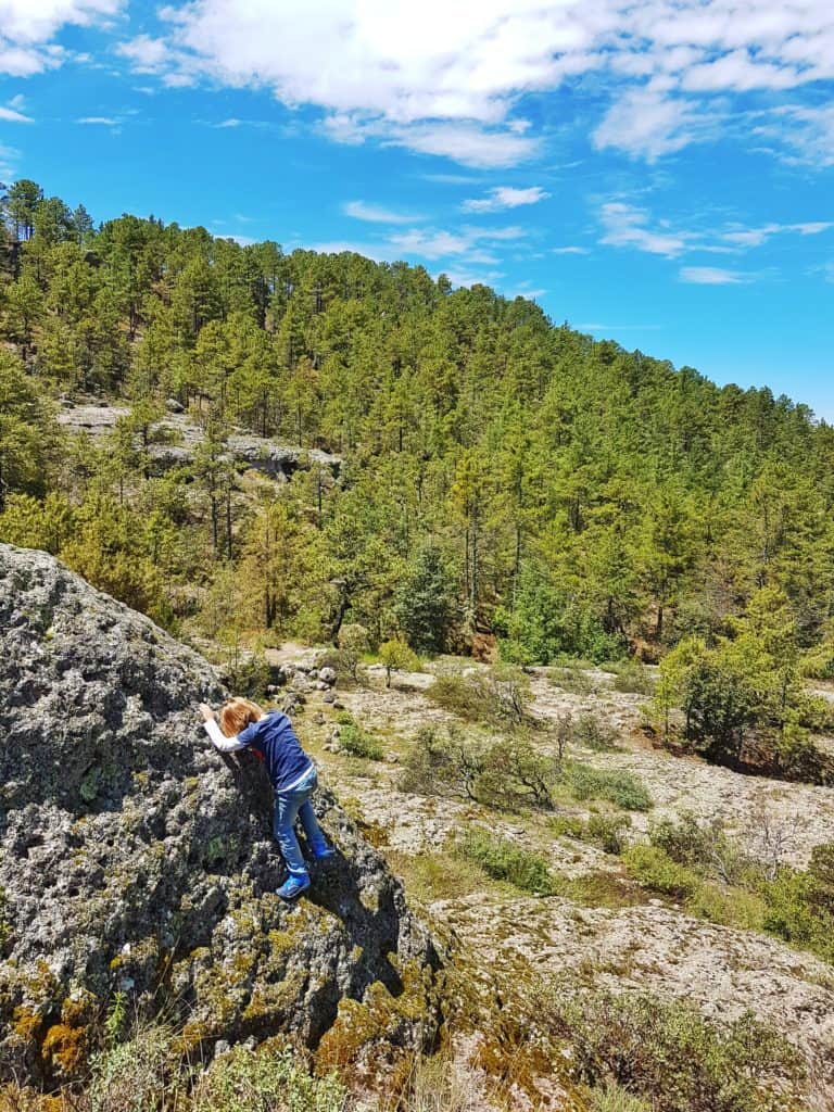 boy in jeans climbing on rock, trees in background