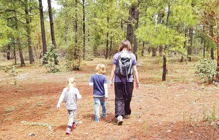 parent and two small children walking away from camera in forest