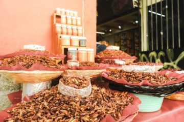 market stall selling fried crickets in big baskets. Jars of honey. Picture is predominantly pinky red