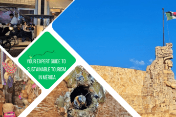 green text box: Your expert guide to sustainable tourism in Mérida 4 photos - one of the profile of the glorieta a la patria, 1 of a melipona bee coming out its hole, 1 of a shop of souvenirs, 1 of electric carriage