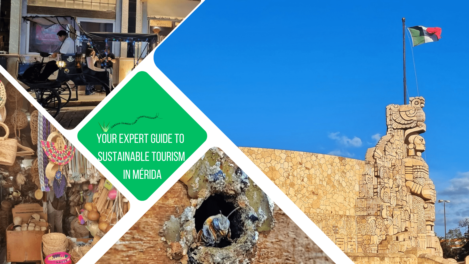 green text box: Your expert guide to sustainable tourism in Mérida 4 photos - one of the profile of the glorieta a la patria, 1 of a melipona bee coming out its hole, 1 of a shop of souvenirs, 1 of electric carriage