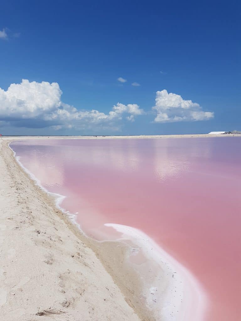 pink water, white salt, blue sky