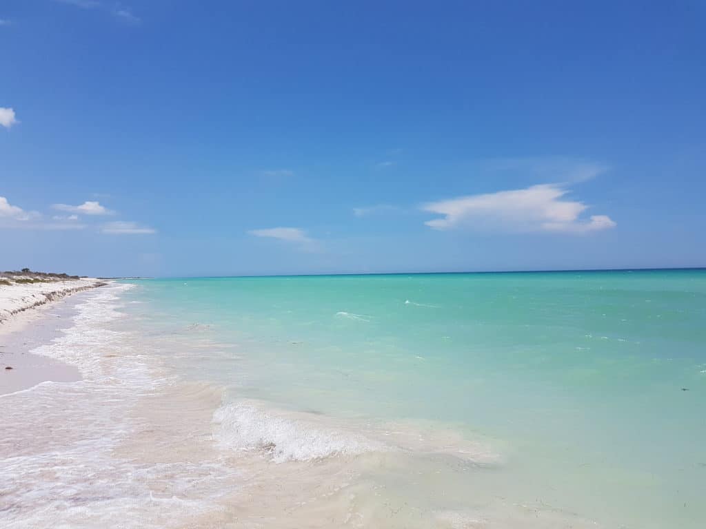 Las Coloradas beautiful beach - turquoise sea, blue sky, white sand