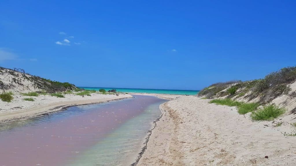 las coloradas, pink water and sea at the end. v blue sky