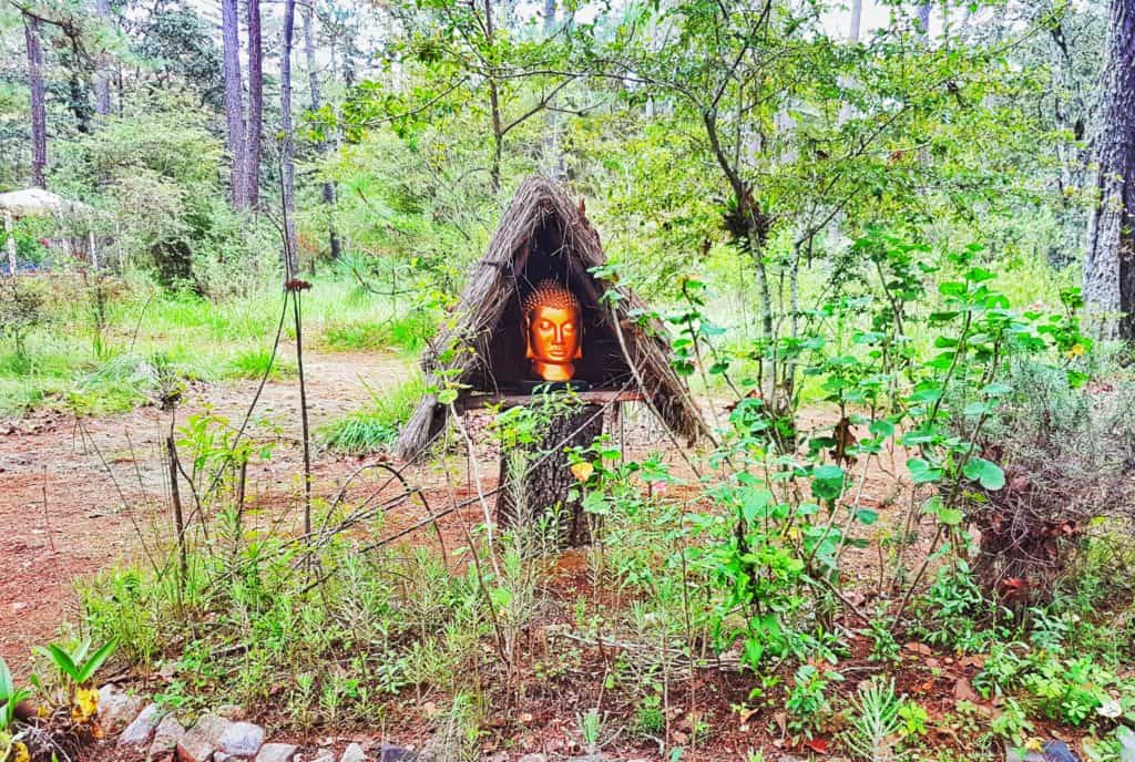 buddha head in thatched space in woodland setting
