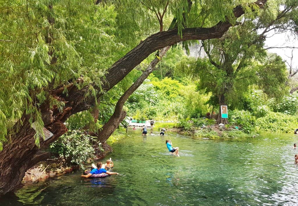 water scene, trees over river, kid on rope swing, people enjoying water