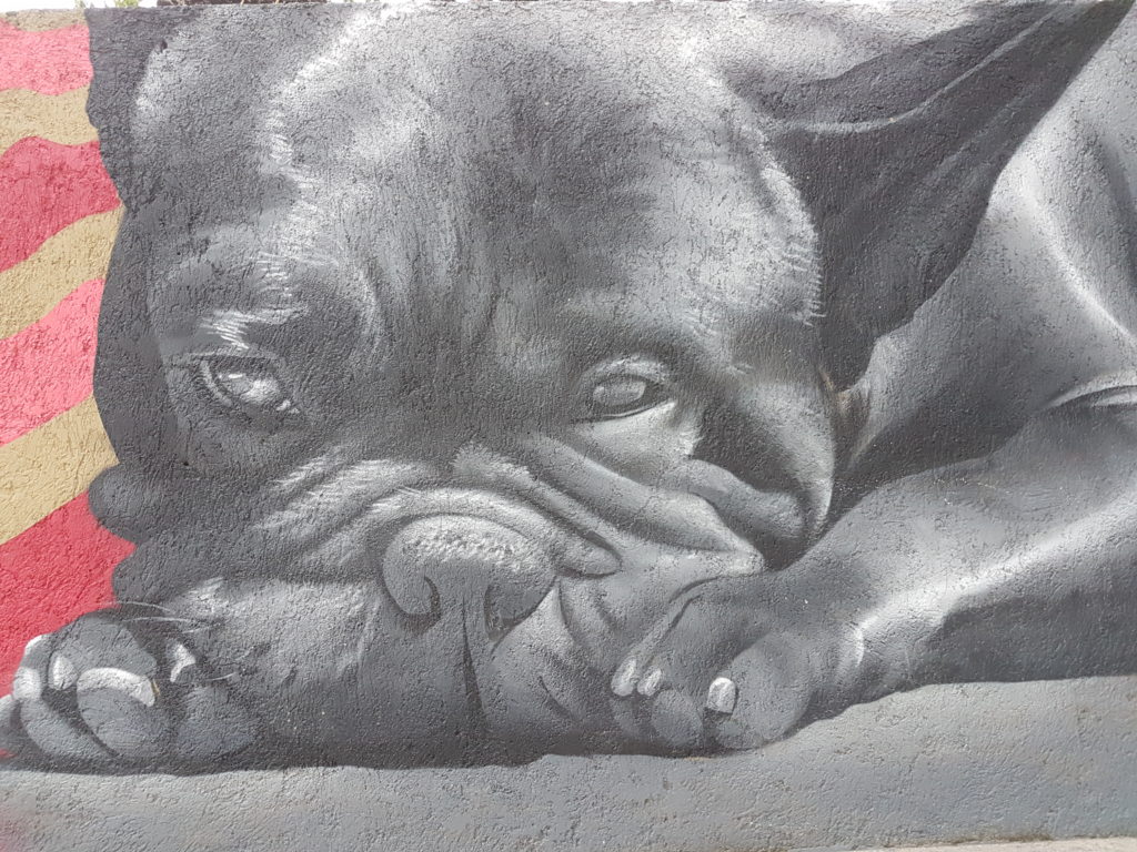 pug dog, black, mural