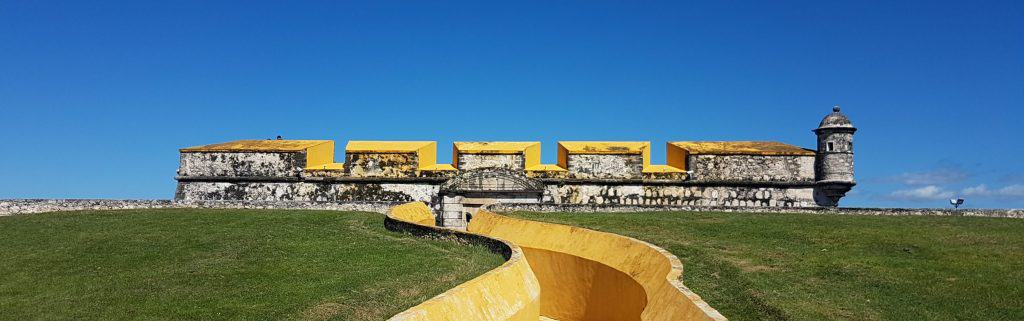 yellow fort sticking out over grass. blue sky