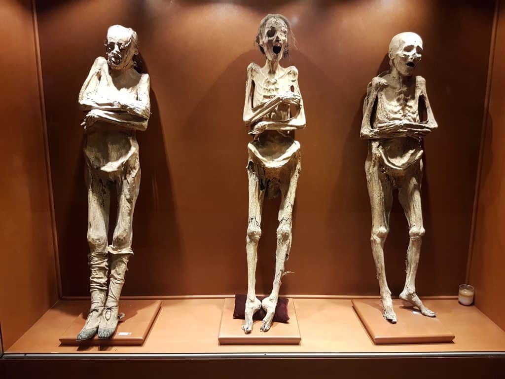 three mummies from mummy museum