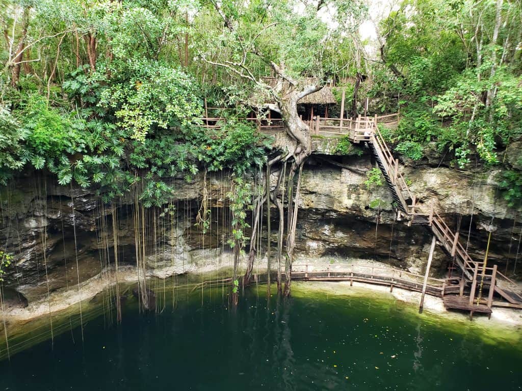 view of huge cenote with trees and roots hanging down into water