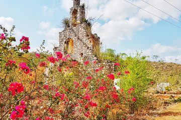 part of a ruined building, red flowers on a bush in foreground