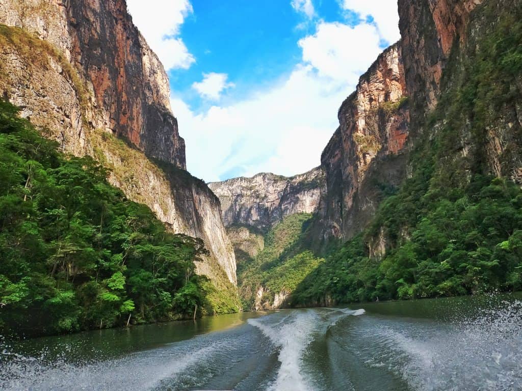 looking backwards from the boat, wake of boat and towering canyon walls. Blue sky, green trees alone base of cliffs