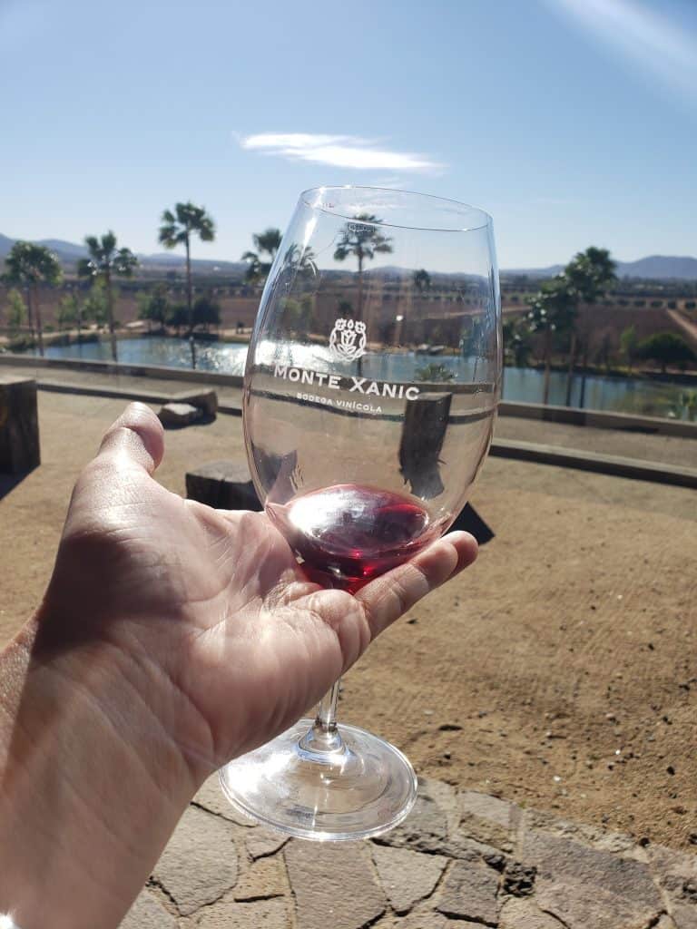 Hand holding almost empty glass of wine looking out at small lake and palm trees