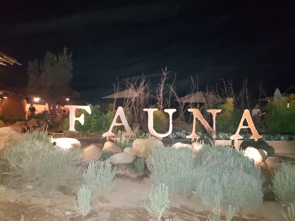 FAUNA sign with cacti in foreground . Fauna letters are gold