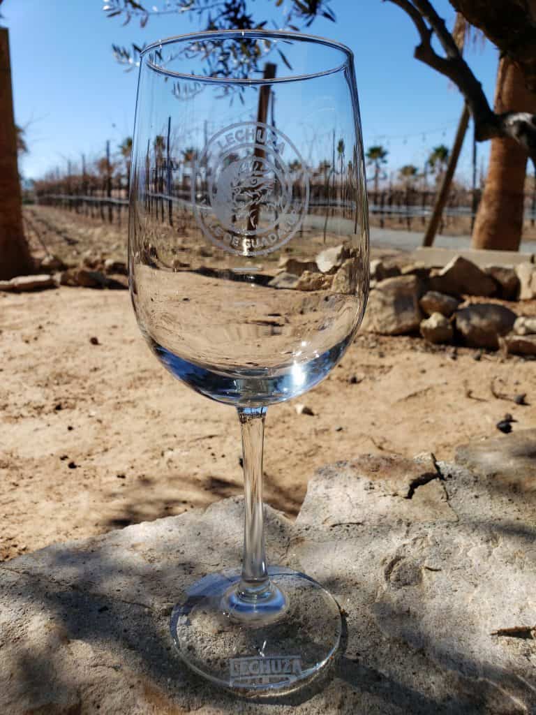 Empty glass of wine with vineyard behind it