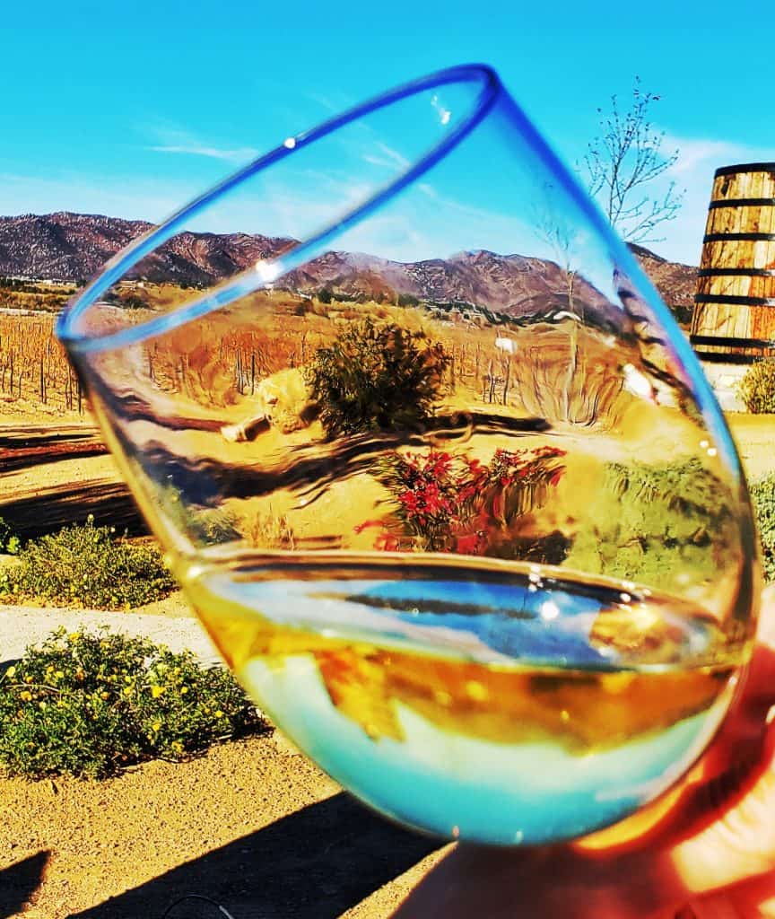 wine glass. white wine with reflection of colours of scenery