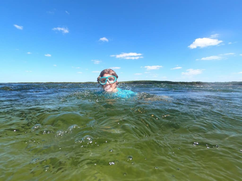 child in blue tshirt and googles swimming in green water. blue sky