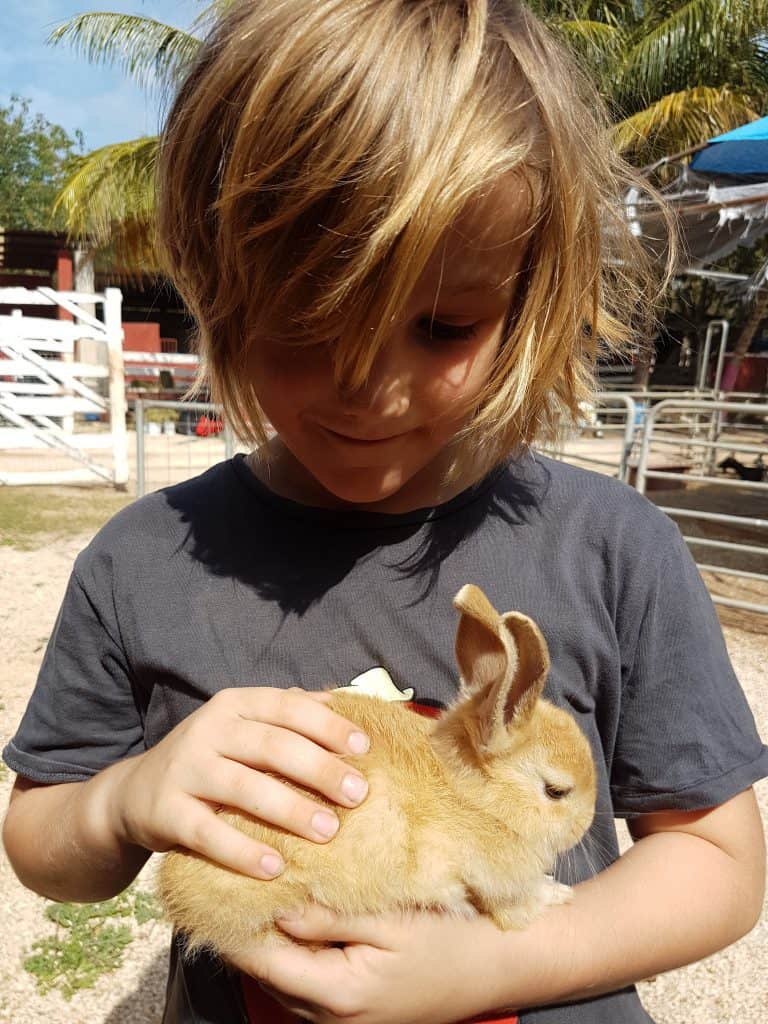 blonde child holding a small brown rabbit