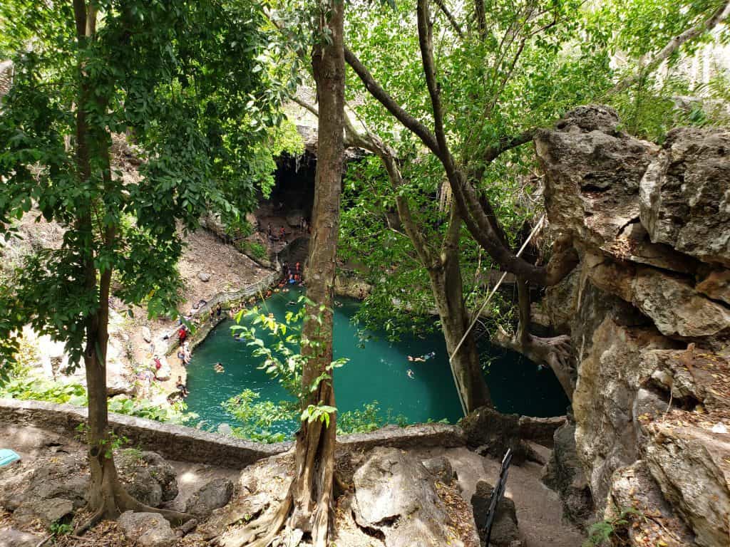looking down on a green cenote through the trees