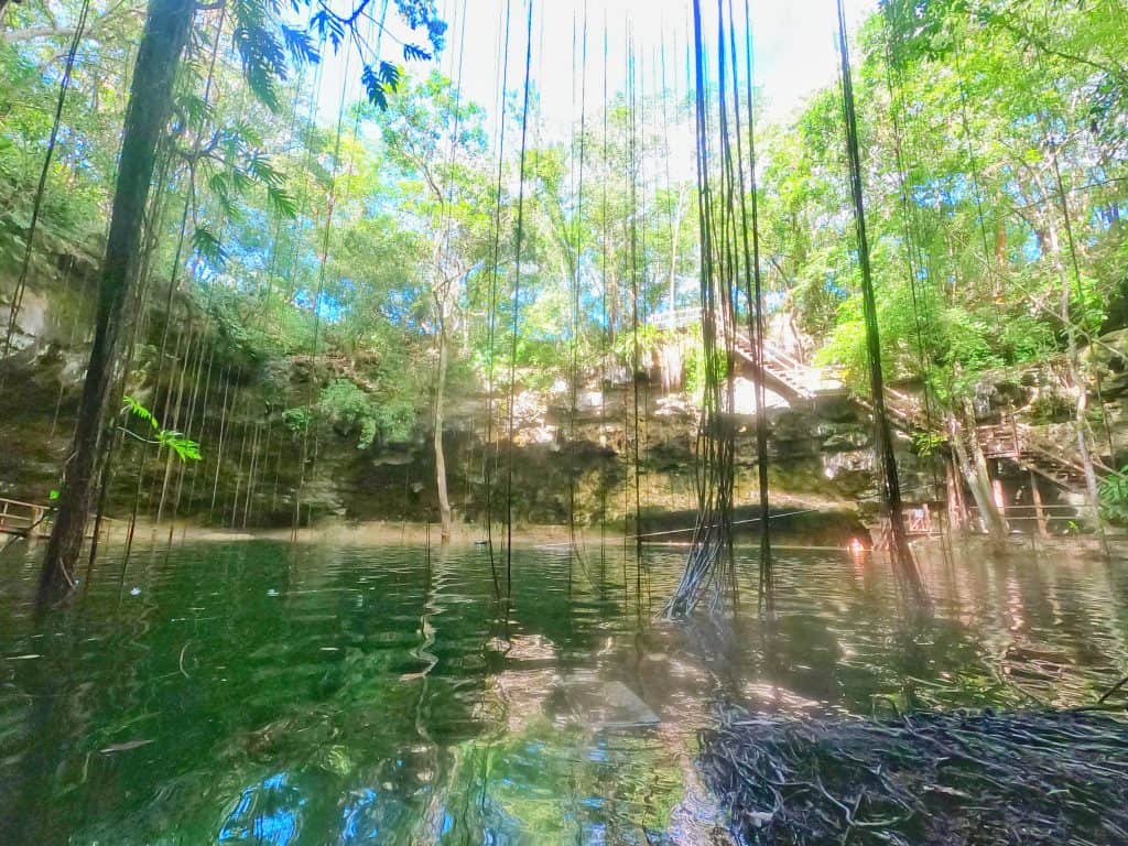 green water cenote, photo taken from behind vines hanging