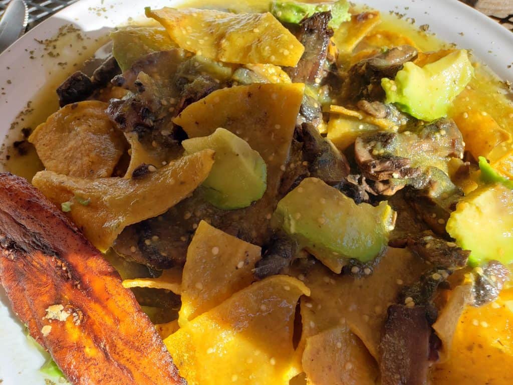 plate of totopos, avocado and mushrooms