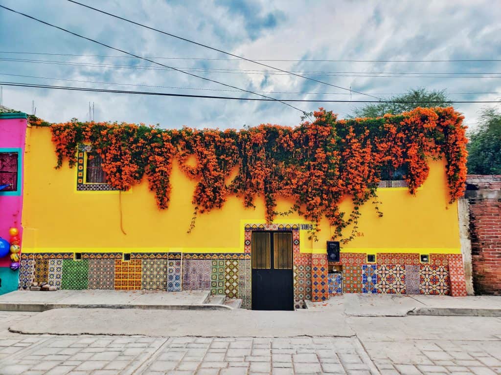 yellow house, titles along bottom, red and green plant hanging down over top of all of it