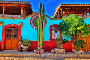 bright blue wall, cacti in front, dark blue sky