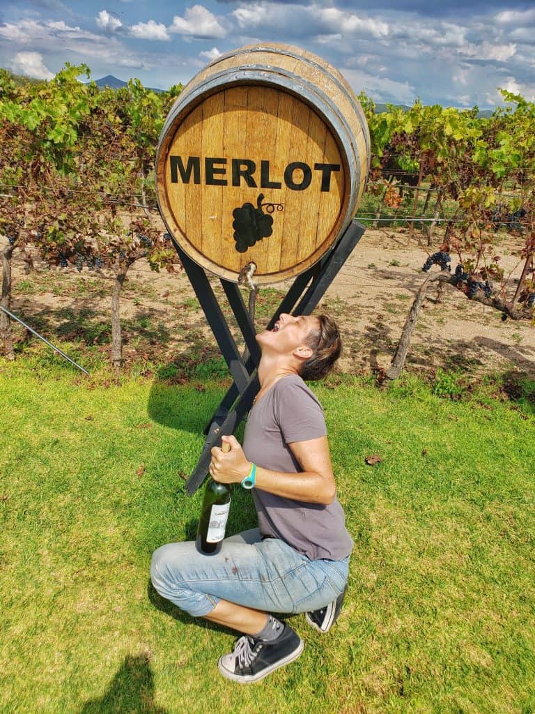 woman in grey tshirt and blue jeans holding a bottle of wine kneeling under a merlot key pretending to drink