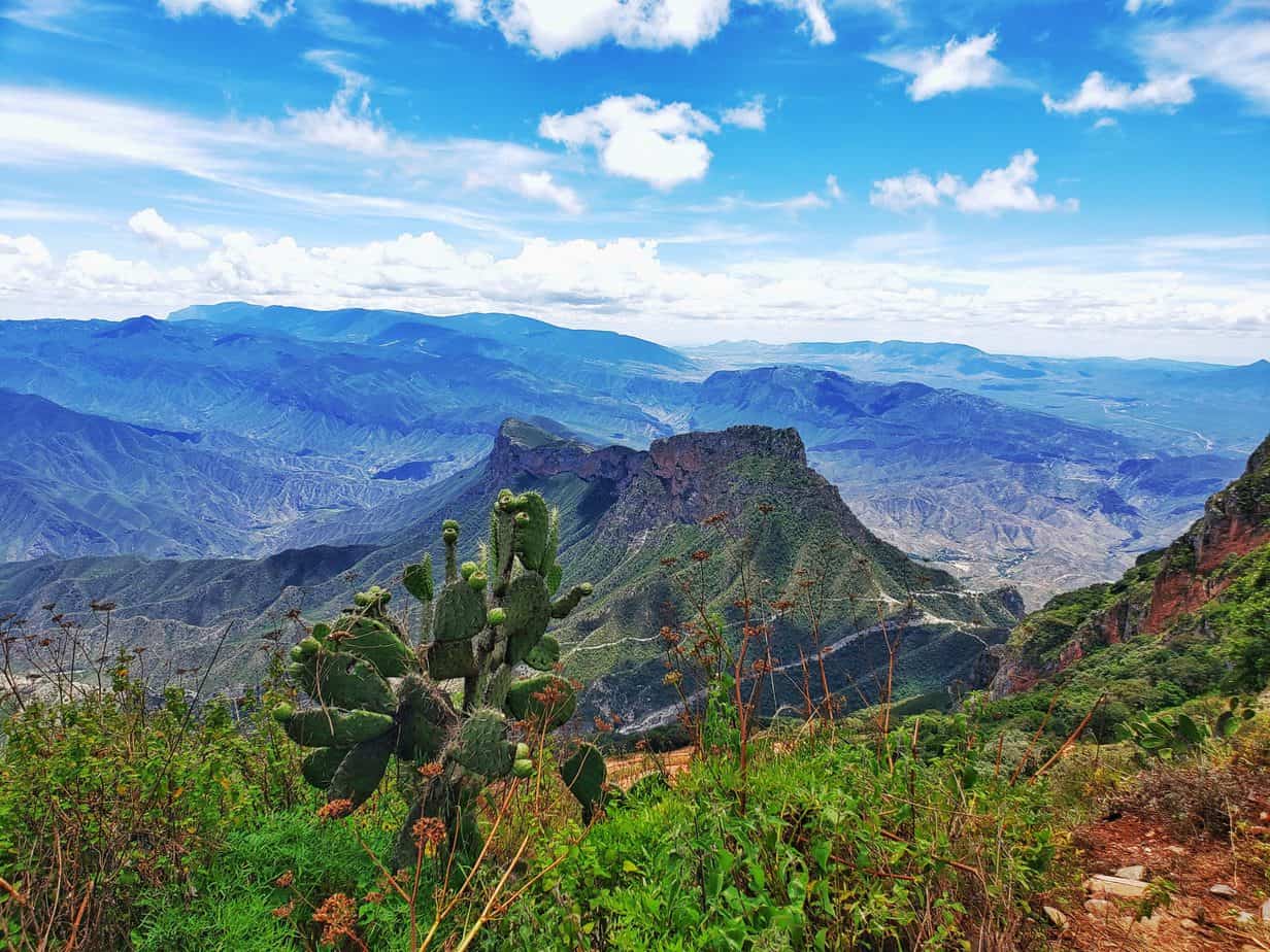 view of mountains, cactus in foreground