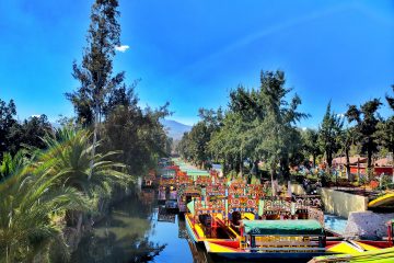 Xocimilco boats, red and yellow, bright blue sky, reflection of trees in still canal water