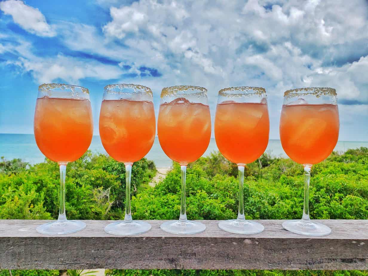 Five wine glasses on a beam filled with red liquid. Bushes and sky behind