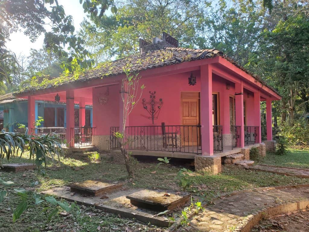 large pink cabin in jungle