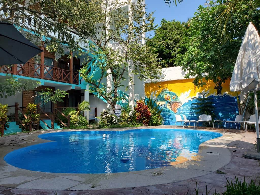 bright blue swimming pool surrounded by greenery, yellow wall at end