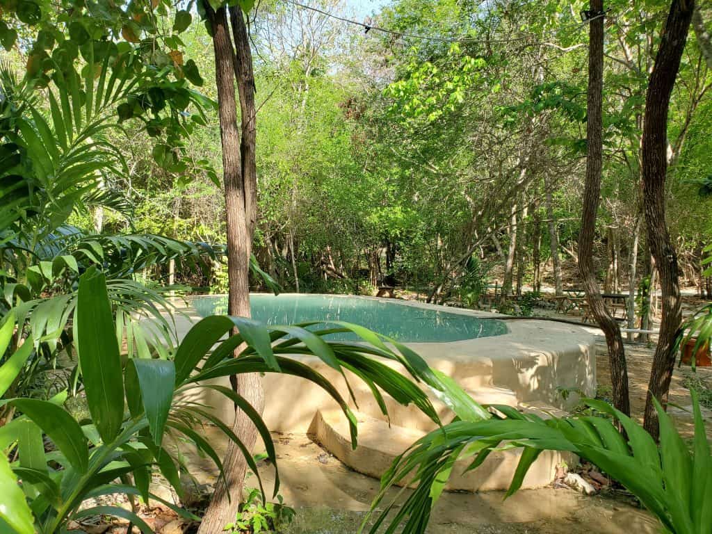 natural looking pool surrounded by jungle