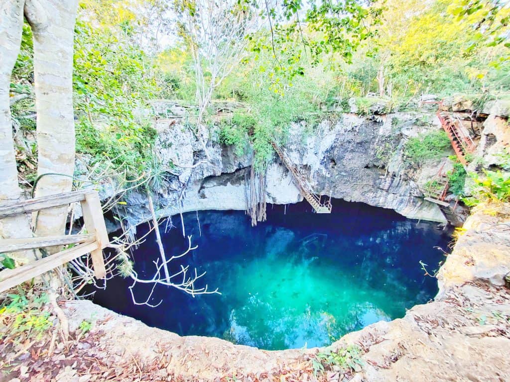 view down into an open cenote surrounded by trees