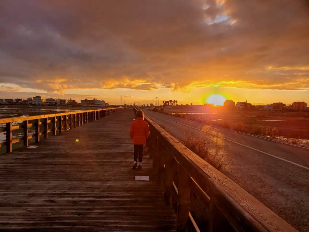 kid walking on wooden path at sunset