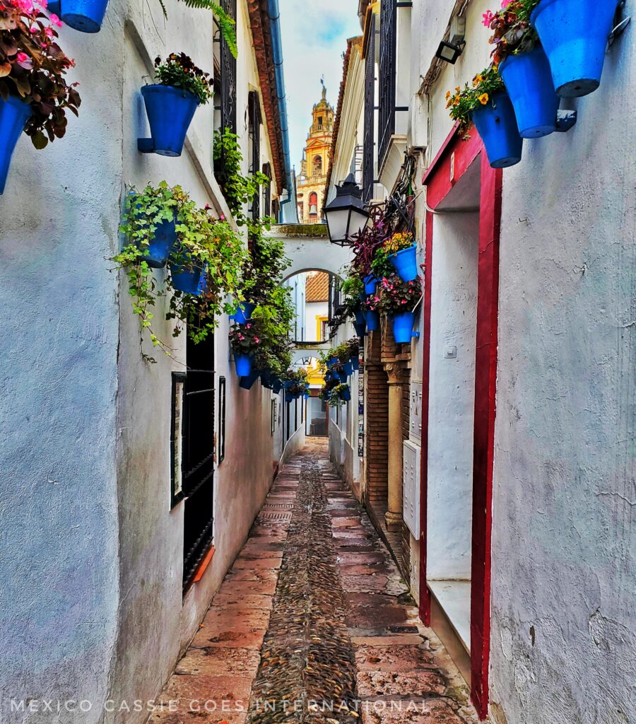 narrow alleyway, white walls, blue baskets of flowers
