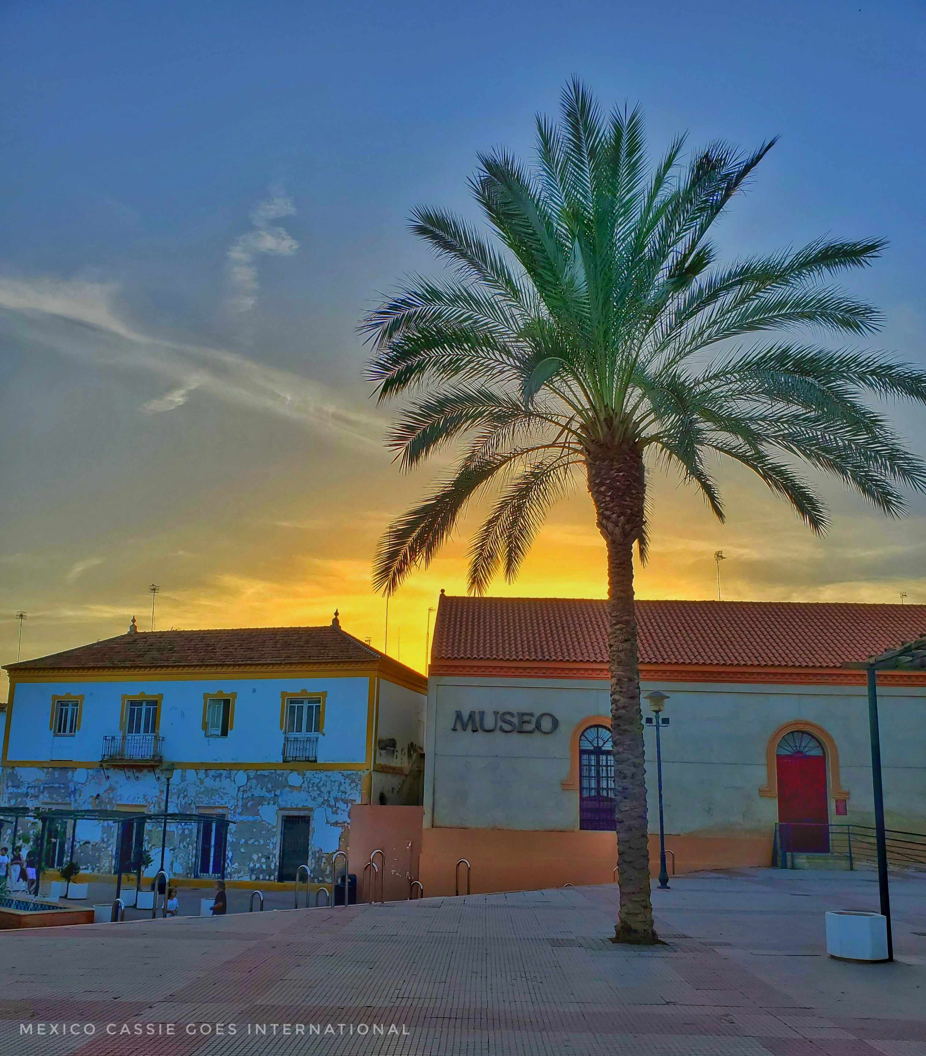 gentle early dusk light over museum building on a plaza. one large palm tree.