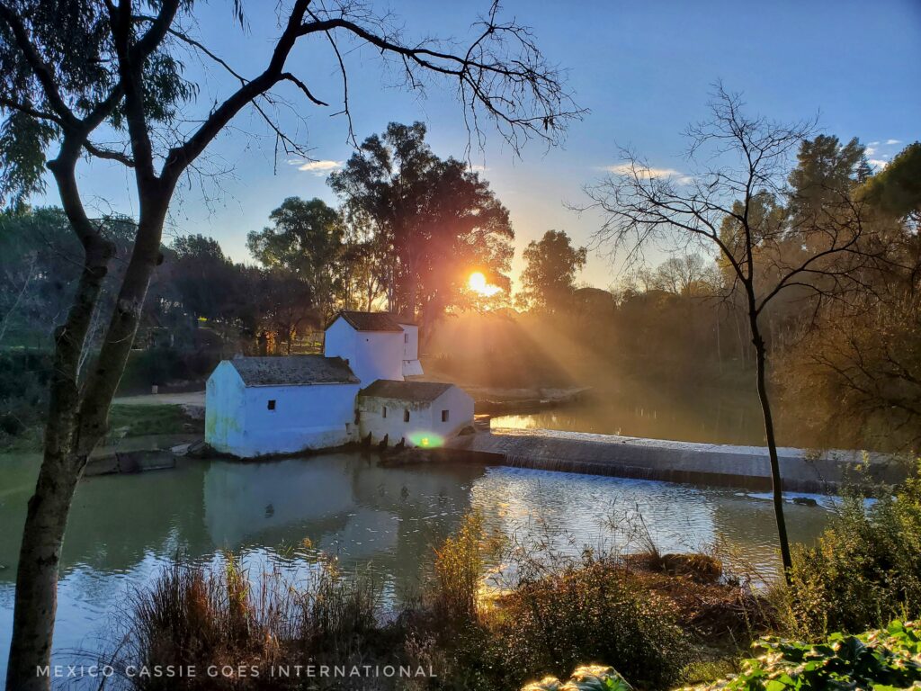 white mill on bank of calm river. Early morning sun shining through trees behind