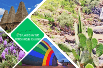 green text box: let's plan epic day trips from San Miguel de Allende. 4 photos - 1 of cactus and waterfall, 1 of hot air balloon on ground, 1 of lavender, 1 of old mills