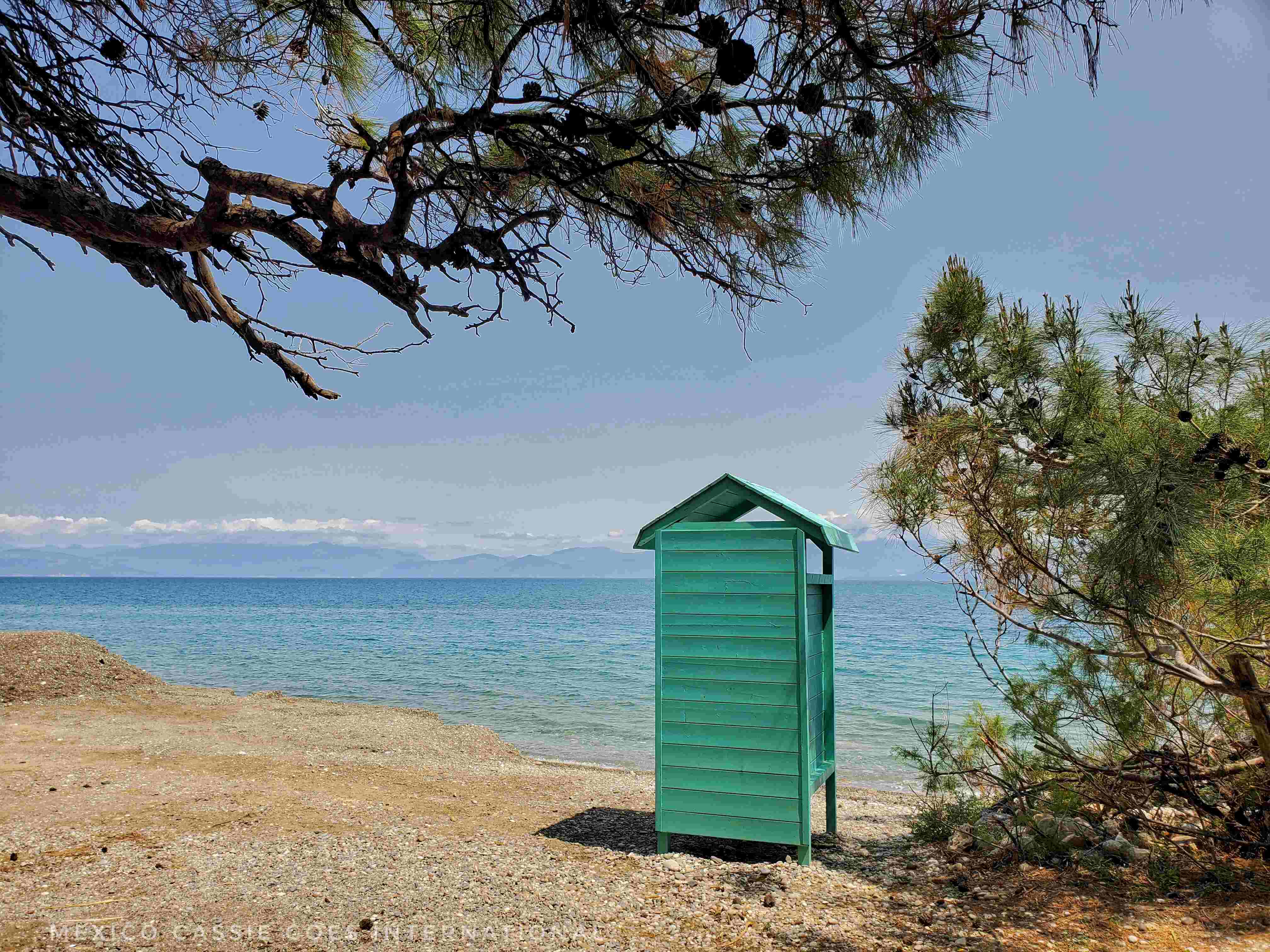 green beach hut standing on gentle blue sea shore. Mountains faint in background. Pine trees in foreground