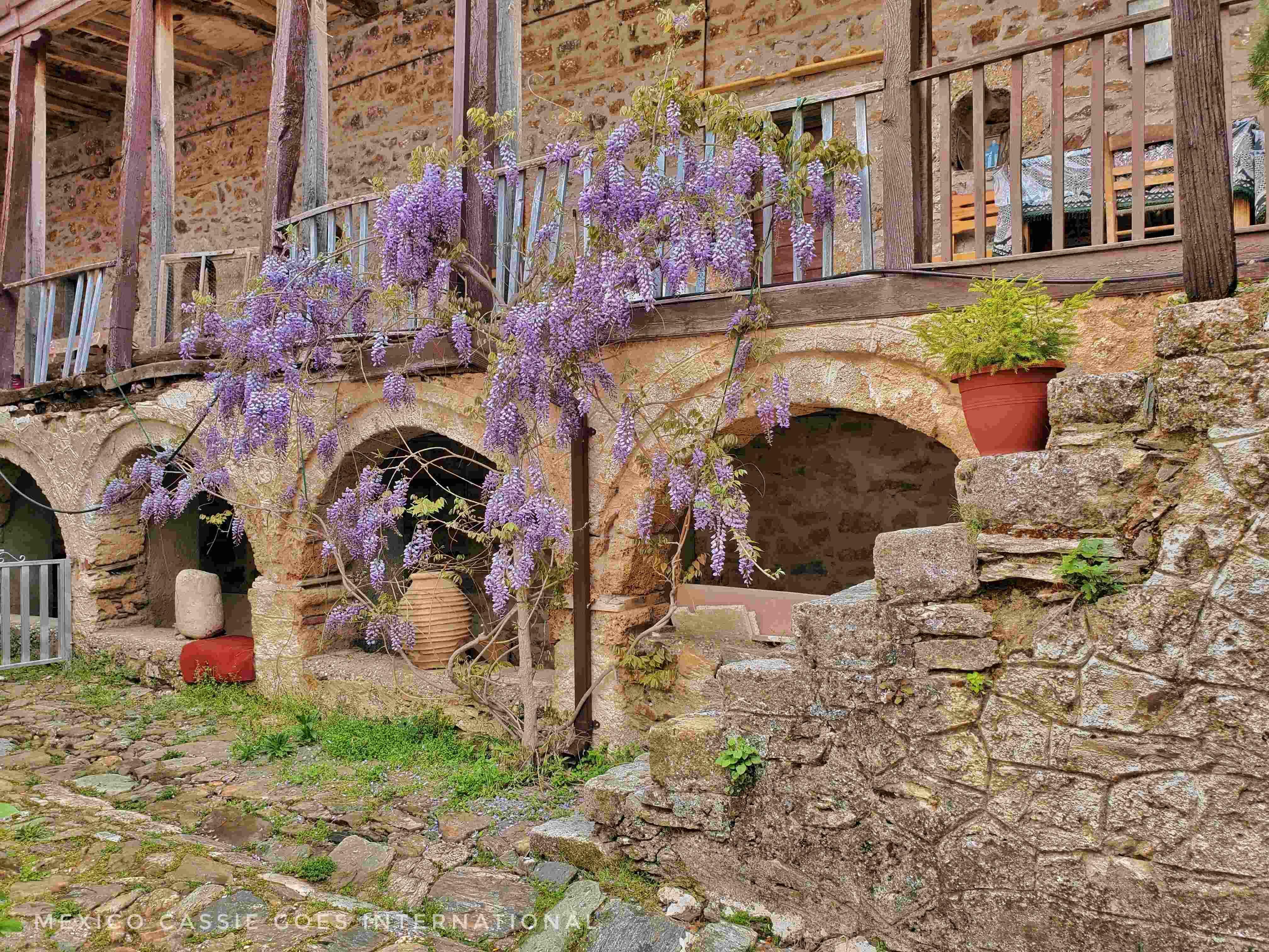 building with wisteria hanging over three small arches