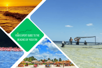 green text box: your expert guide to the beaches of Yucatán- 4 photos. 1 of small boat in shallow water, 1 of tables with thatched shade on beach, 1 of very orange sunset over sea and 1 of flamingos