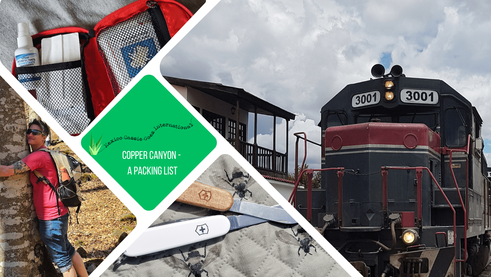 green text box: copper canyon, a packing list. 4 photos, one of an old stlye train, 1 of 2 knives, 1 of cass hugging a tree, 1 of a red first aid kit