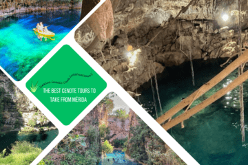 green text box: the best cenote tours to take from Mérida. 4 photos of cenotes (various shades of green water)