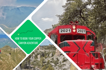 green text box: how to book your copper canyon adventure 4 photos -. 1 close up of old red train engine car, 3 nature shots of the canyon